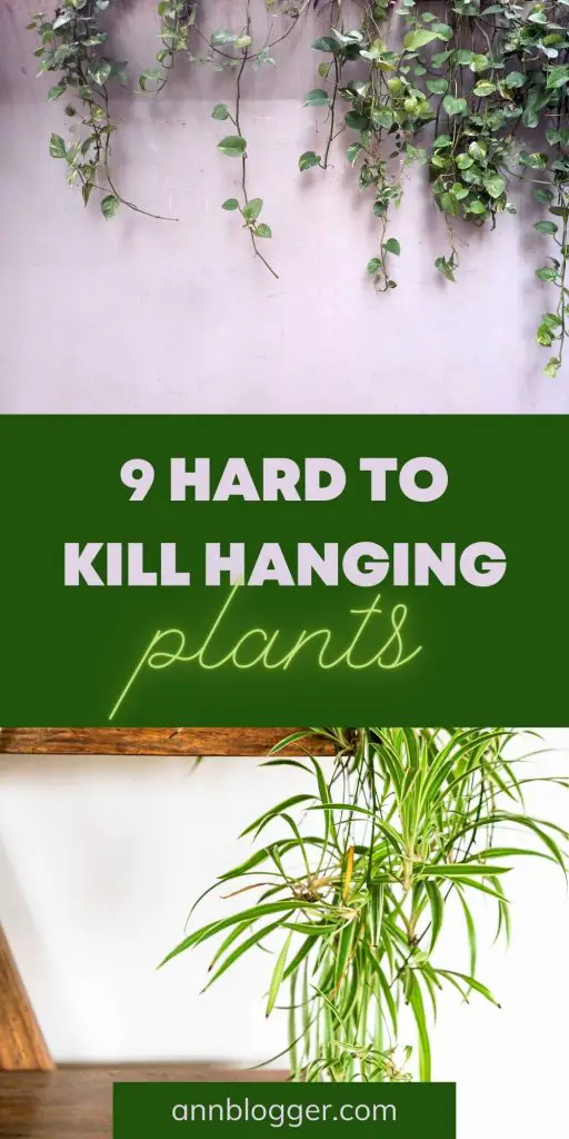 Hard to Kill Hanging Plants pin