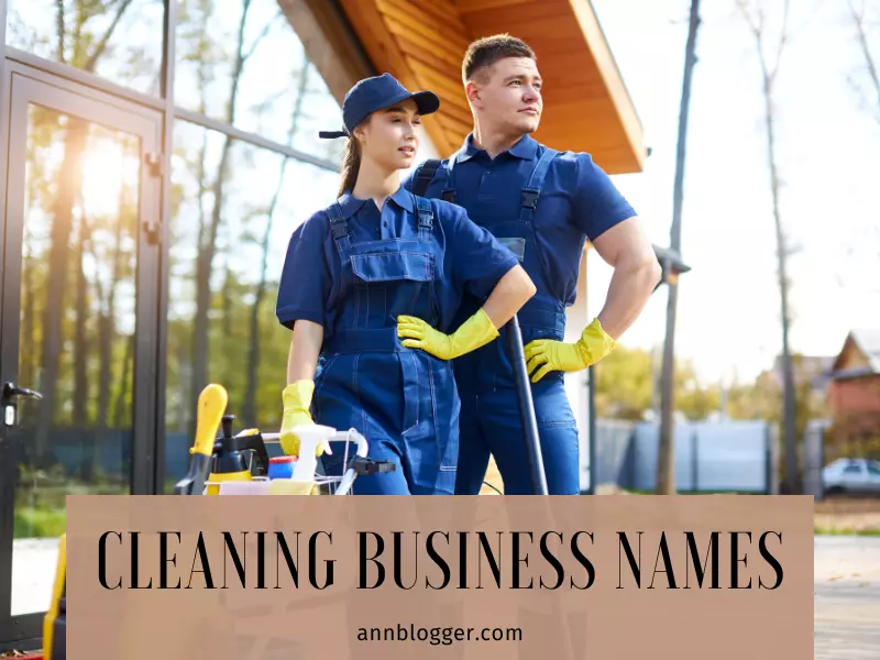 Cleaning Business Names 300 Catchy Name Ideas Ann Blogger