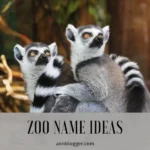 zoo names ideas