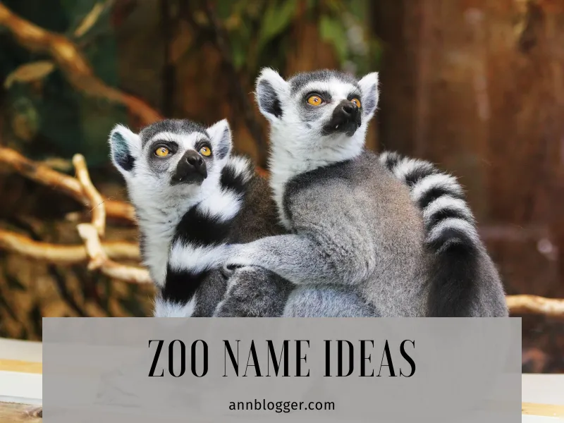 zoo names ideas