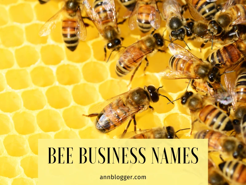 Bee Business Names