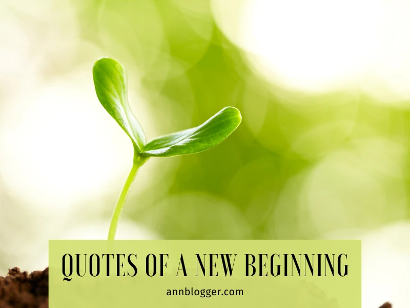 quotes of a new beginning