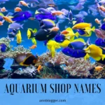 Aquarium Shop Names