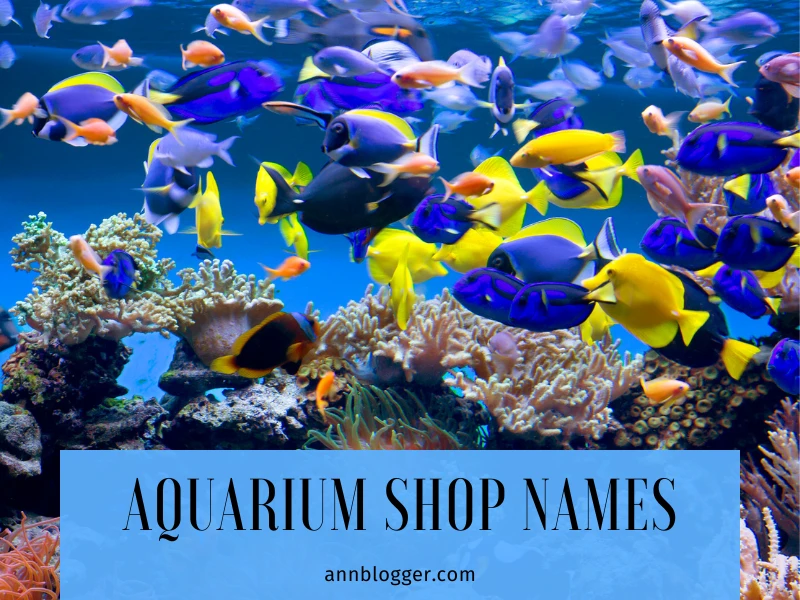 Aquarium Shop Names