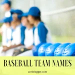 Baseball Team Names