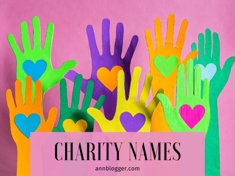 Charity Names 400+ Creative Ideas - Ann Blogger