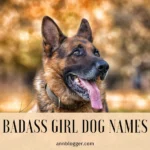 Badass Girl Dog Names