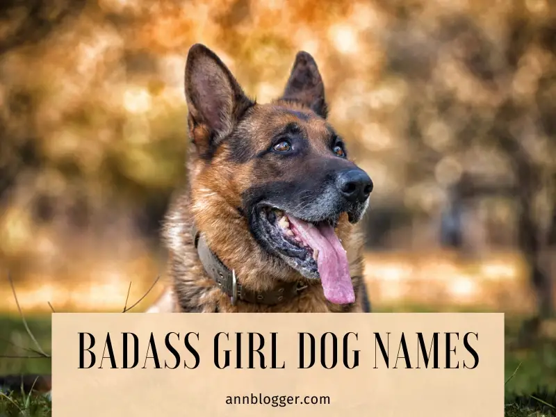 Badass Girl Dog Names