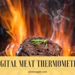 Digital Meat Thermometer