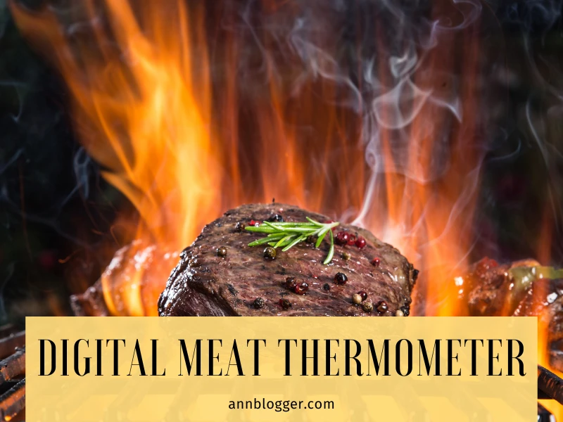 Digital Meat Thermometer