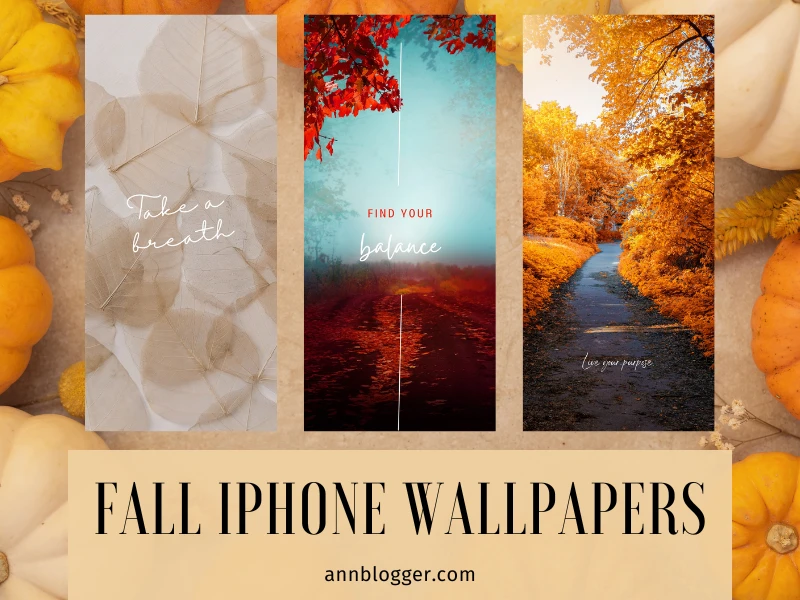 Fall iPhone Wallpapers