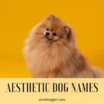 aesthetic dog names