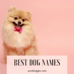 Best dog names