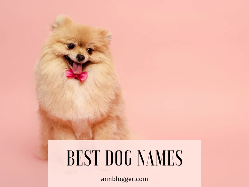 Best dog names