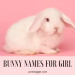 Bunny Names for Girl