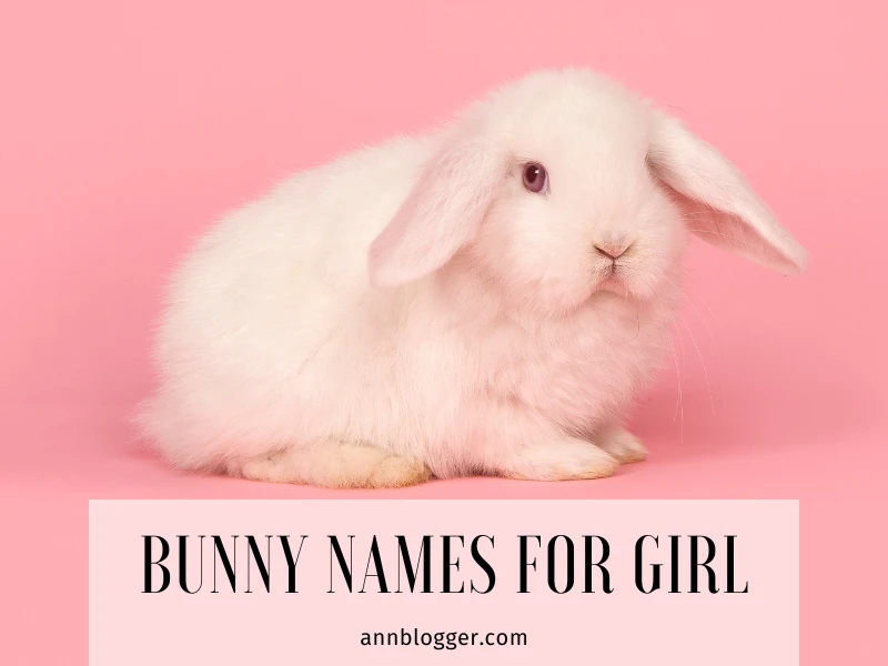 Bunny Names for Girl