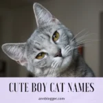 Cute Boy Cat Names