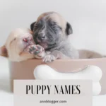 Puppy Names