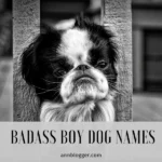 badass boy dog names