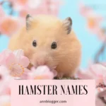 hamster names