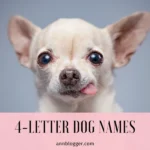 4-Letter Dog Names