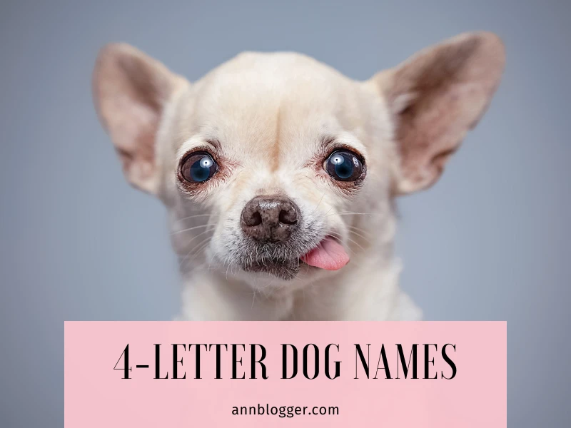 4-Letter Dog Names