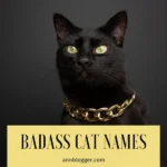 Badass Cat Names