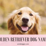 Golden Retriever Dog Names