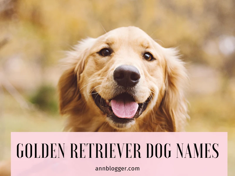 Golden Retriever Dog Names