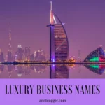 Luxury Business Names