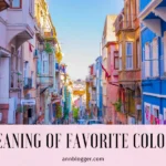 Meaning of Favorite Colors