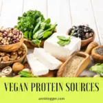 Vegan Protein Sources