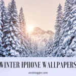 Winter iPhone Wallpapers