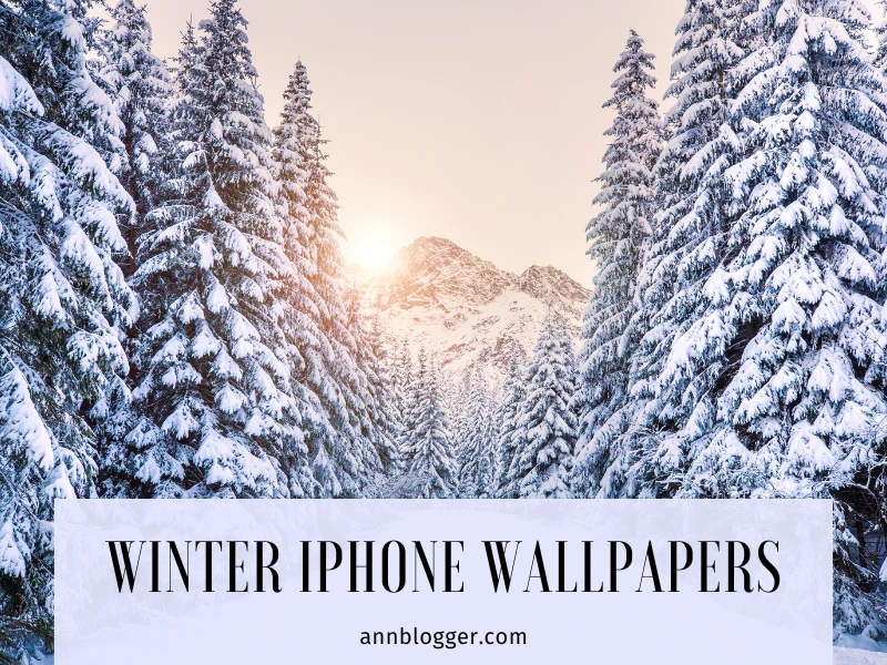 Winter iPhone Wallpapers