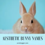 Aesthetic bunny names