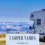 Camper Names