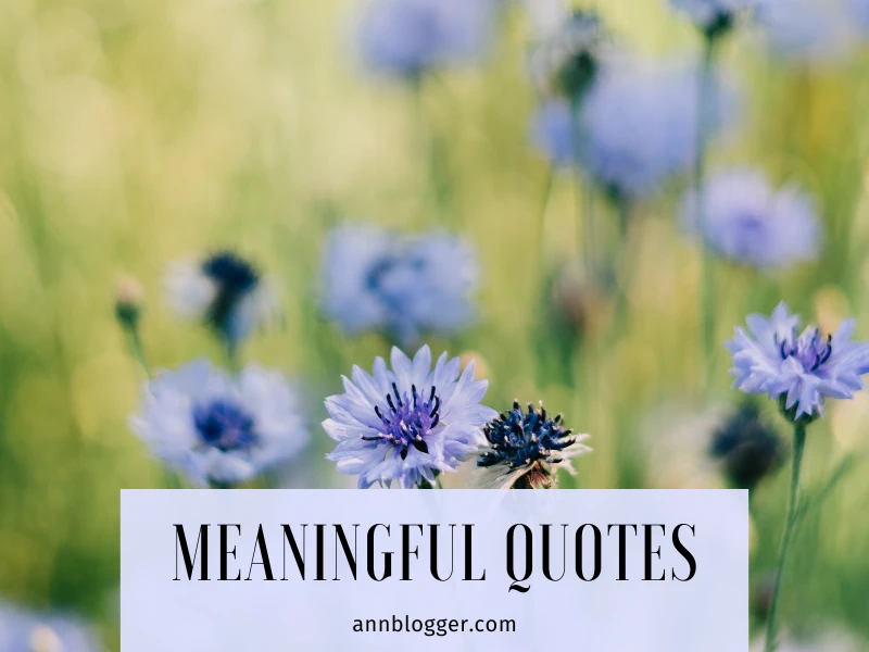 meaningful quotes