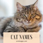 cat names