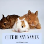 Cute Bunny Names