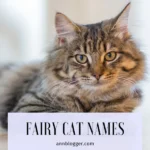 Fairy Cat Names