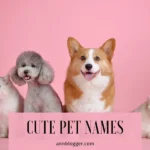 cute pet names