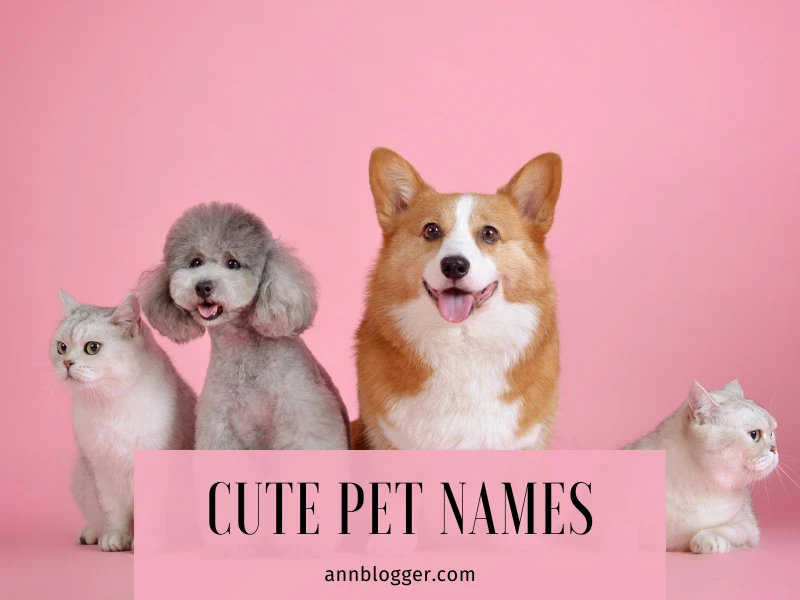 cute pet names