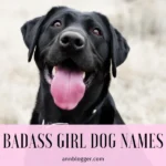 Best Badass Girl Dog Names