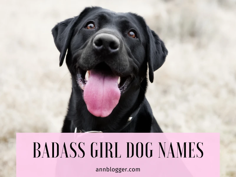 Best Badass Girl Dog Names