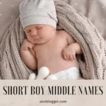 Short Boy Middle Names