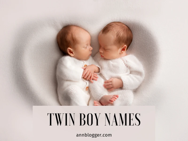 Twin Boy Names