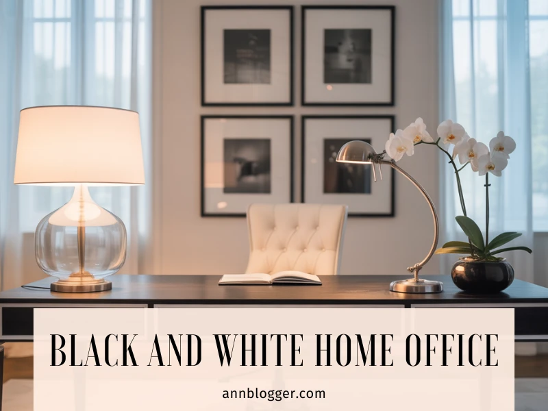 Feminine Black and White Home Office Ideas