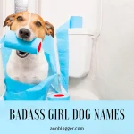 Best Badass Girl Dog Names