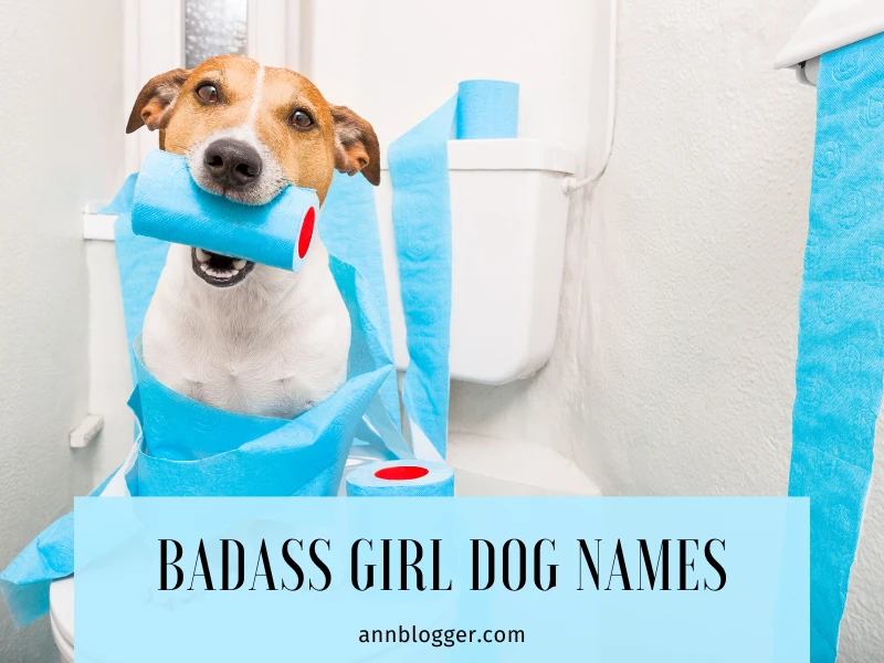 Best Badass Girl Dog Names