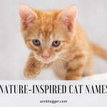 Nature-Inspired Cat Names